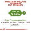 Royal Canin Outdoor – Пълноценна балансирана храна за котки в зряла възраст (от 1 до 7 години), често излизащи на открито и с нормална активност. 2 кг