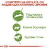 Royal Canin Outdoor – Пълноценна балансирана храна за котки в зряла възраст (от 1 до 7 години), често излизащи на открито и с нормална активност. 2 кг Royal Canin Outdoor – Пълноценна балансирана храна за котки в зряла възраст (от 1 до 7 години), често излизащи на открито и с нормална активност. 2 кг
