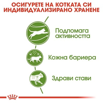 Royal Canin Outdoor – Пълноценна балансирана храна за котки в зряла възраст (от 1 до 7 години), често излизащи на открито и с нормална активност. 2 кг Royal Canin Outdoor – Пълноценна балансирана храна за котки в зряла възраст (от 1 до 7 години), често излизащи на открито и с нормална активност. 2 кг