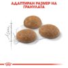 Royal Canin Outdoor – Пълноценна балансирана храна за котки в зряла възраст (от 1 до 7 години), често излизащи на открито и с нормална активност. 2 кг