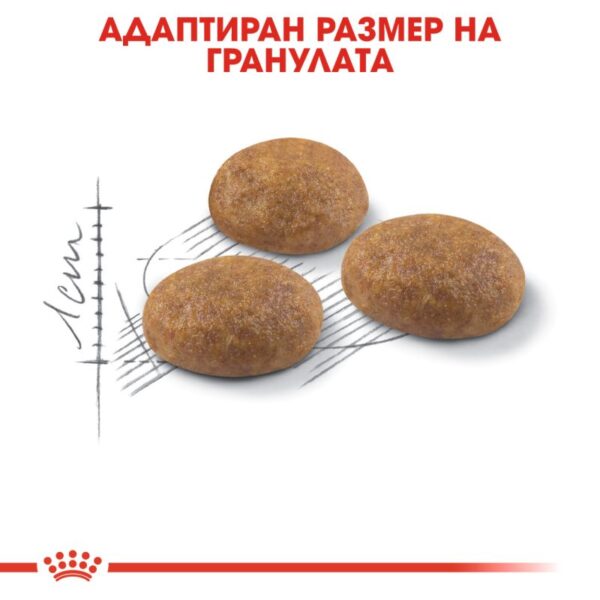Royal Canin Outdoor – Пълноценна балансирана храна за котки в зряла възраст (от 1 до 7 години), често излизащи на открито и с нормална активност. 2 кг
