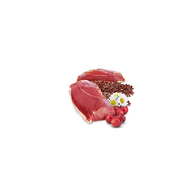 N&D Quinoa Urinary with Duck & Cranberry , Cat Adult – мокра храна без зърнени култури за здрав уринарен тракт, за котки над 1 година, с патешко, киноа, червена боровинка и лайка, 80 гр.