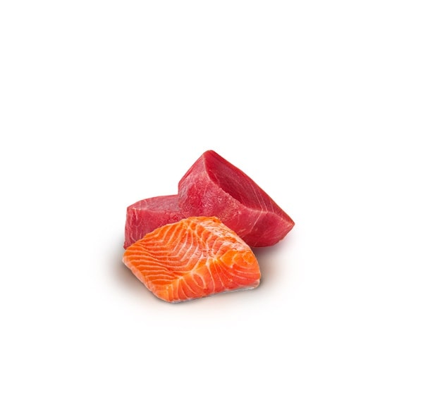 N&D Natural FISH TRIO MENU – мокра допълваща храна за котки в зряла възраст 3 вида: с риба тон, с риба тон и сьомга, с риба тон и скариди, 5+1 гратис N&D Natural FISH TRIO MENU – мокра допълваща храна за котки в зряла възраст 3 вида: с риба тон, с риба тон и сьомга, с риба тон и скариди, 5+1 гратис