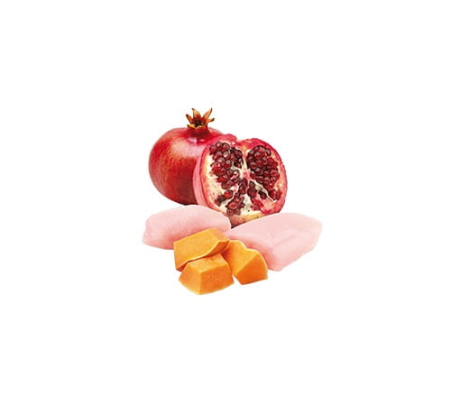 N&D Cat Pumpkin Chicken & Pomegranate Adult – консерва без зърнени култури за котки в зряла възраст, с пилешко , тиква и нар  70 гр.